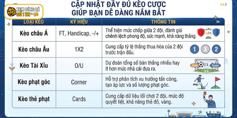 Tỷ Lệ Kèo Socolive - Phân Tích Và Nhận Định Trước Giờ Bóng Lăn 2 Cập nhật đầy đủ kèo cược giúp bạn dễ dàng nắm bắt